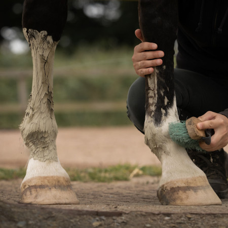 cataplasme d'argile s'enlève à la brosse